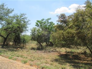 1 ha Land available in Leeuwfontein