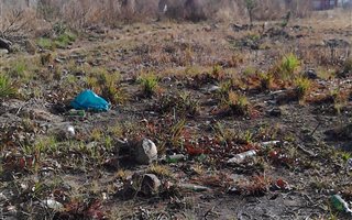 1000 m² Land available in Amajuba Park