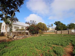 4 Bed House in De Rust