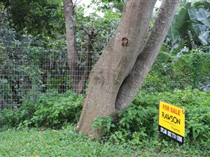 1451 m² Land available in Trafalgar
