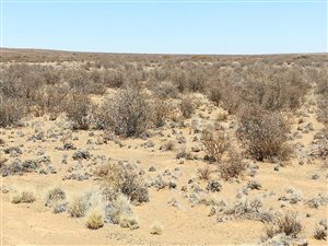 Farm in Brandvlei