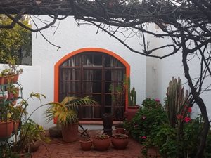 1 Bed Apartment in Colbyn