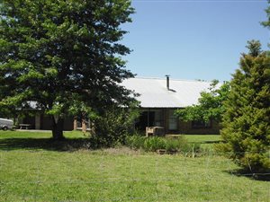 9.8 ha Farm in Rosetta