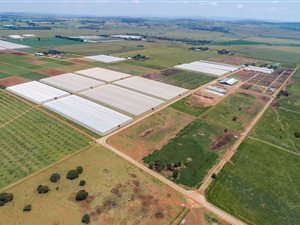 230 ha Farm in Sterkfontein and surrounds