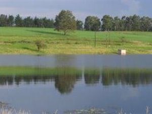153 ha Farm in Mooi River