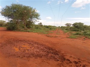 10 ha Land available in Northam