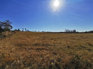 10.7 ha Land available in East London Rural