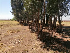1000 m² Land available in Heidelberg AH