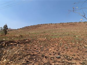 2 ha Farm in Honingklip AH