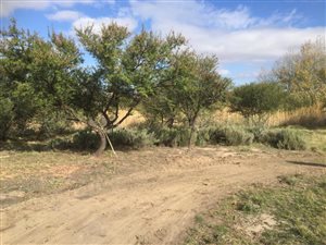 1444 ha Farm in Uniondale