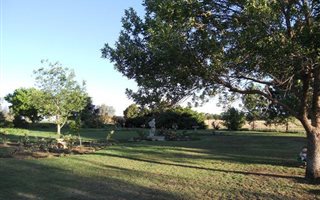 8.5 ha Farm in Wilgeboom AH