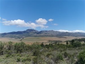 231 ha Farm in Caledon