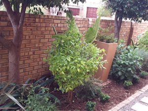 3 Bedroom Cluster in Noordheuwel
