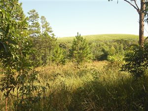 8104 m² Land available in Ramsgate