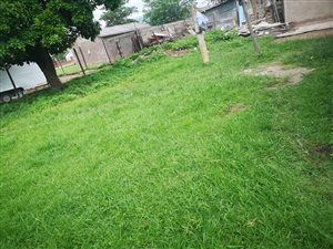 4 Bed House in Mpophomeni