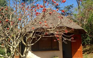 House in Crestholme