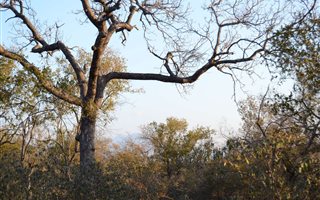 1 ha Land available in Raptors View Wildlife Estate