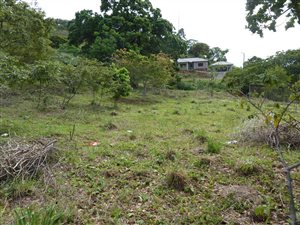 1804 m² Land available in Kloof