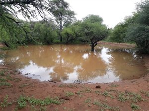 316 ha Farm in Thabazimbi