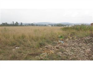 102784 ha Land available in Alrode