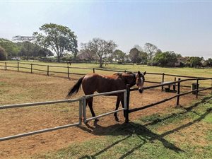 4 ha Land available in Summerveld