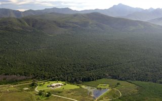 81 ha Farm in Natures Valley