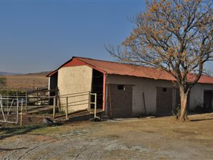 8.6 ha Farm in Sterkfontein and surrounds