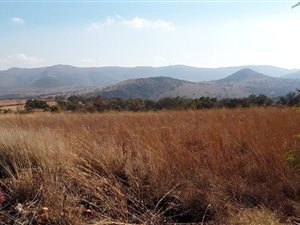 67 ha Farm in Hennops River