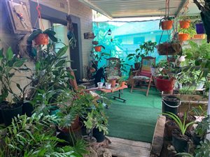 3 Bed House in Arboretum