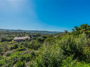 1738 m² Land available in Wilderness