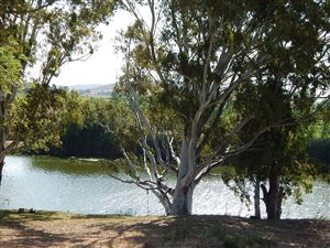 750 m² Land available in Bonnievale
