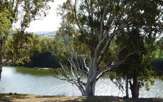 750 m² Land available in Bonnievale
