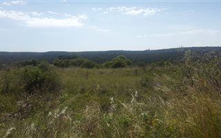1190 m² Land available in Colchester