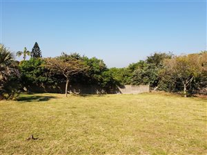1841 m² Land available in Woodgrange