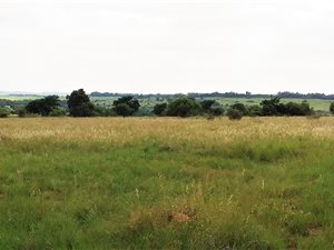2 ha Farm in Johannesburg Central and CBD