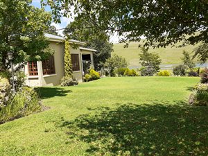 4.9 ha Farm in Howick