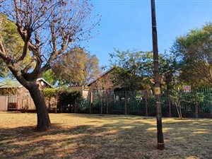 3 Bed House in Hazel Park
