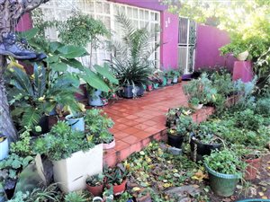 3 Bed House in Gardenia Park