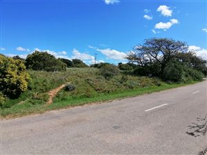 1128 m² Land available in Riversbend