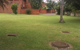 1 Bedroom Duplex in Arboretum