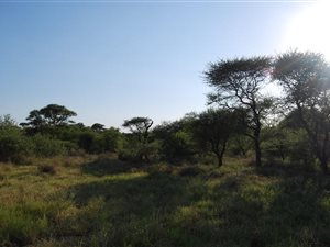 18 ha Farm in Northam