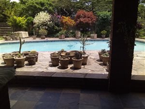 4 Bed House in Yellowwood Park