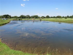 14 ha Farm in Klipkop