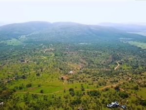 1 ha Farm in Modimolle