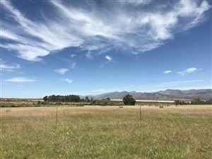 130.8 ha Farm in Tulbagh
