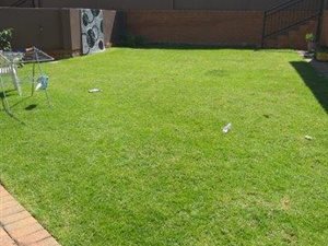 3 Bedroom Apartment in Castleview