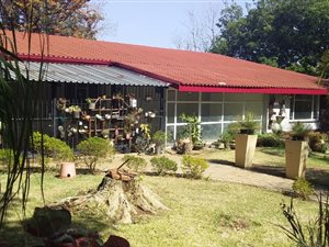2 ha Farm in Amandasig