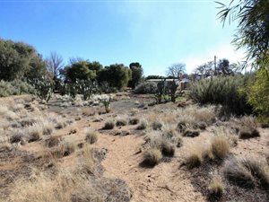 1150 m² Land available in Carnarvon