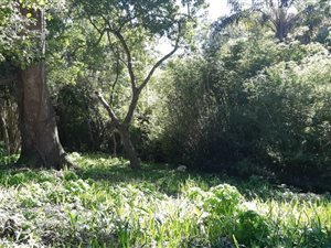 1800 m² Land available in Kloof