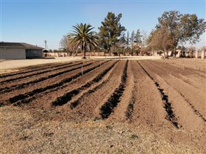 2.1 ha Land available in Rosashof